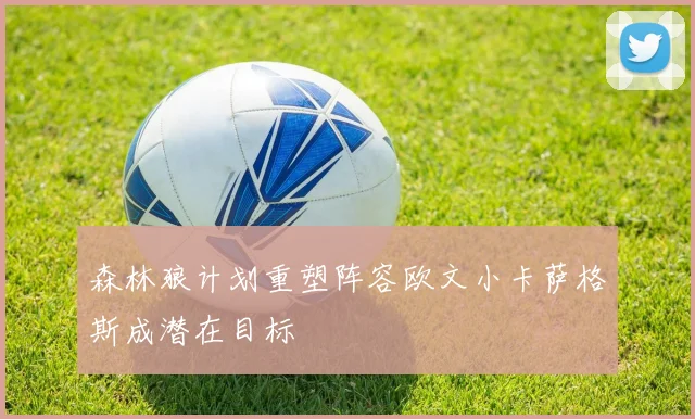 森林狼计划重塑阵容欧文小卡萨格斯成潜在目标